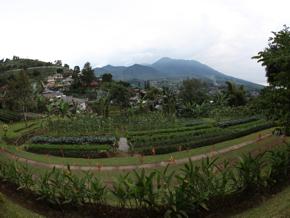 mountain06_thumb