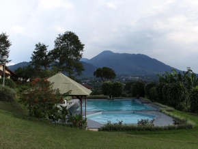 swimmingpool_thumb